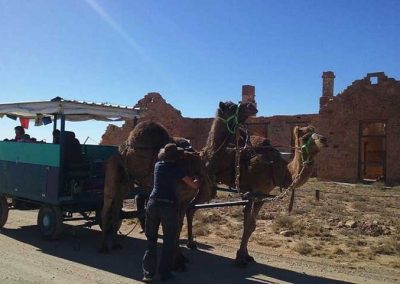 Camel cart seen passing through Farina