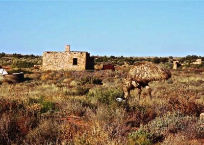The New Police Station