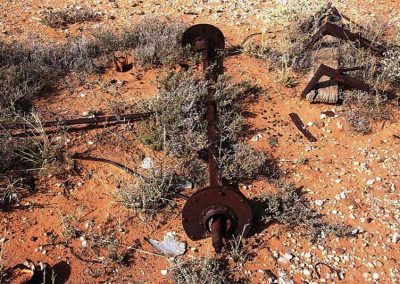 An old cart I had found yesterday