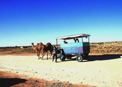 The travelling Swiss family