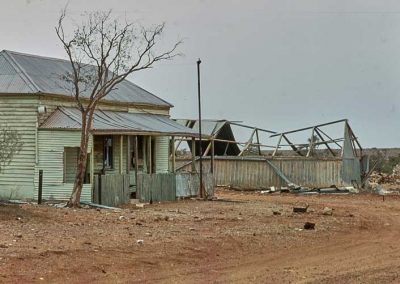 Pattersons June 1982