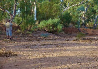 Martin in the Witchelina creek