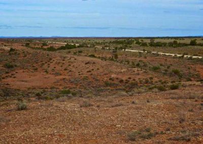 Looking South from Farina towards Lyndhurst