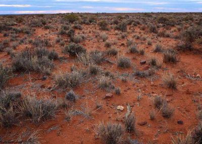 Sandy plains between Lyndhurst and Farina