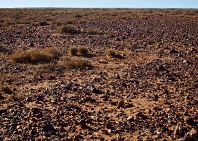Gibber plains between Lyndhurst and Farina