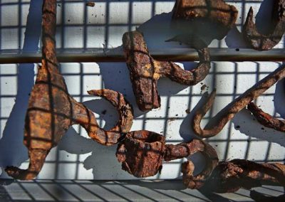 Found objects now housed in the display case