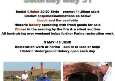 Poster for Cricket Day.