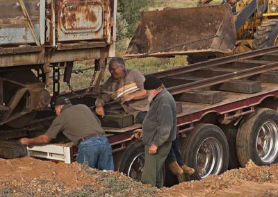 Cattle truck being offloaded