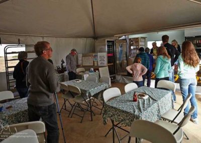 Inside away from the flies