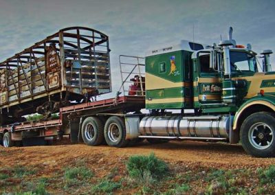 Cattle truck arrives