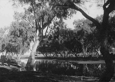 Government Gum waterhole