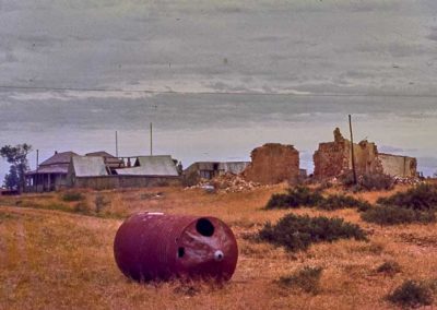 Pattersons and sheds