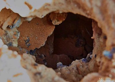 Inside the holes - note the straight edges inside.