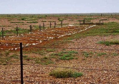 Grave weeding completed