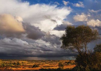 Watching the weather