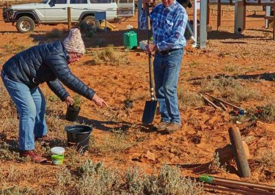 Positioning the plants