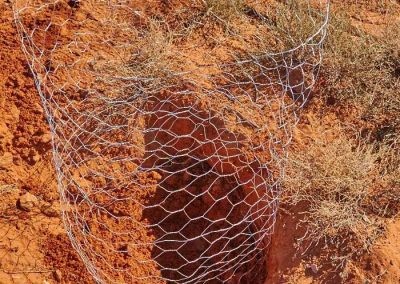 Plant hole and guard