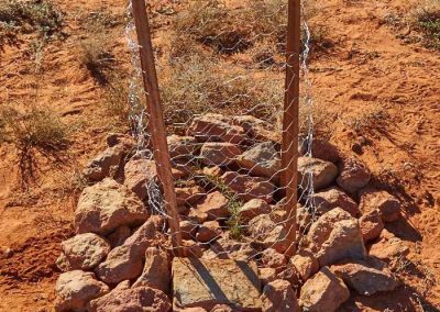 Rabbit deterrent and rock mulch