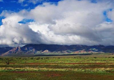 Seen on the way home