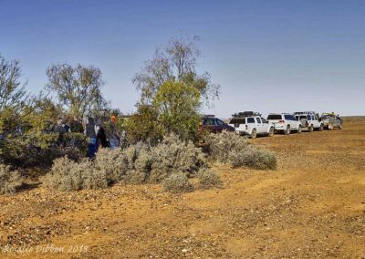 Checking out the acacias (some of them very prickly!