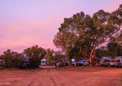Part of the general camping area at dusk on June 1st