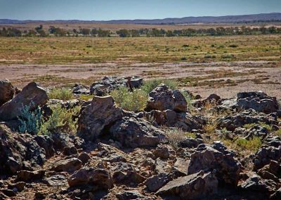 Witchelina land - is this a source of rocks for Farina walls?