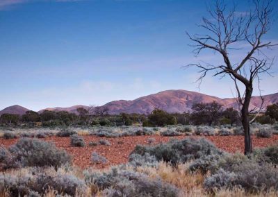 Country West of Farina