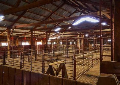 Ned;s Corner Station Shearing shed with half of the shearing stands in the background.