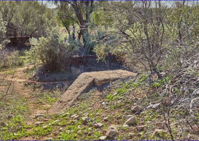 First sighting of sleepers from the Southern end