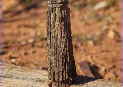 Wooden mounting peg for a telegraph line insulator