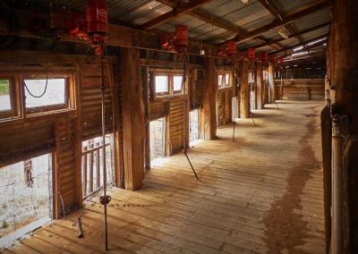 Ned;s Corner Station - inside the shearing shed, showing just half of the shearing stands.