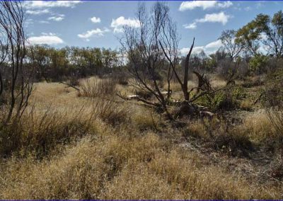 Concrete tressle footings