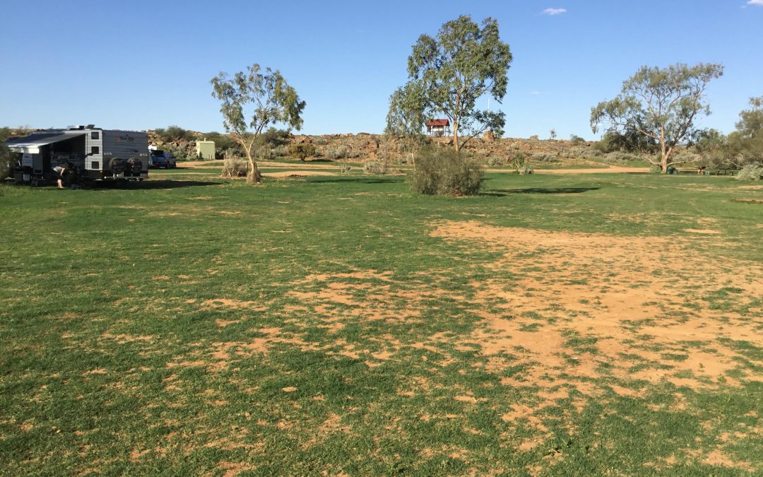 Rain arrives at Farina
