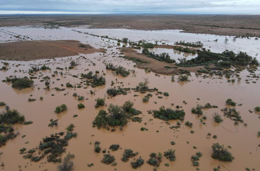 Rain falls on Farina