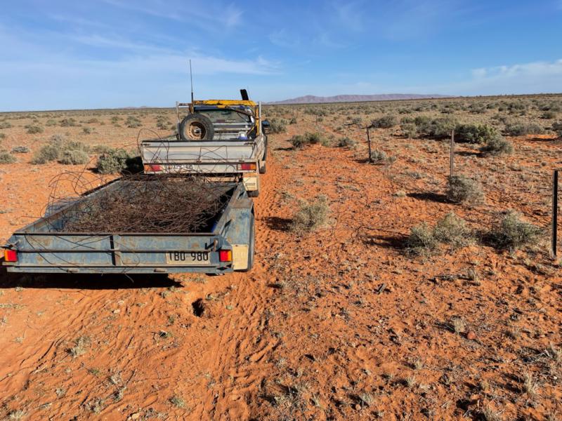 Cleaning up fence wire