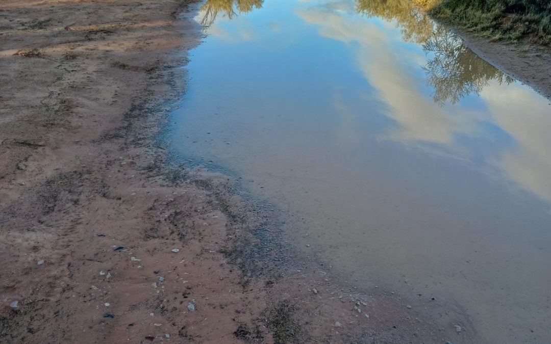 Farina Bakery & Cafe Reopens Monday 8th July